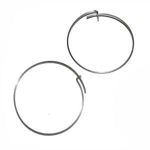 Titanium Interchangeable Hoops-Earrings.jpg