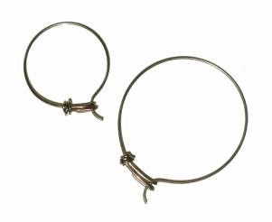 Titanium Latched Hoop Earrings.jpg